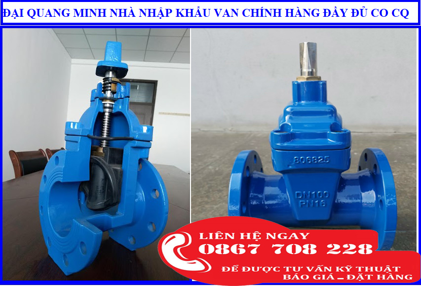 van cổng trung quốc DN 100